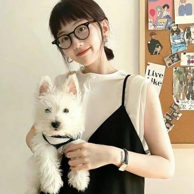 歌唱傻瓜